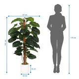 Dibujo dimensional de la Planta artificial EPIPREMNUM con una altura de 155 cm y anchura de 67 cm de hjh OFFICE