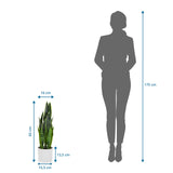 Vista dimensional de la Planta artificial SANSEVIERIA con una altura de 65 cm junto a la silueta de una persona de hjh OFFICE
