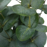 Hojas verdes de la planta artificial Eucalyptus de hjh OFFICE
