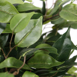 Hojas verdes de la planta artificial FICUS II de hjh OFFICE