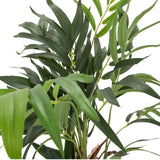 Hojas verdes de la planta artificial CHAMAEDOREA de hjh OFFICE