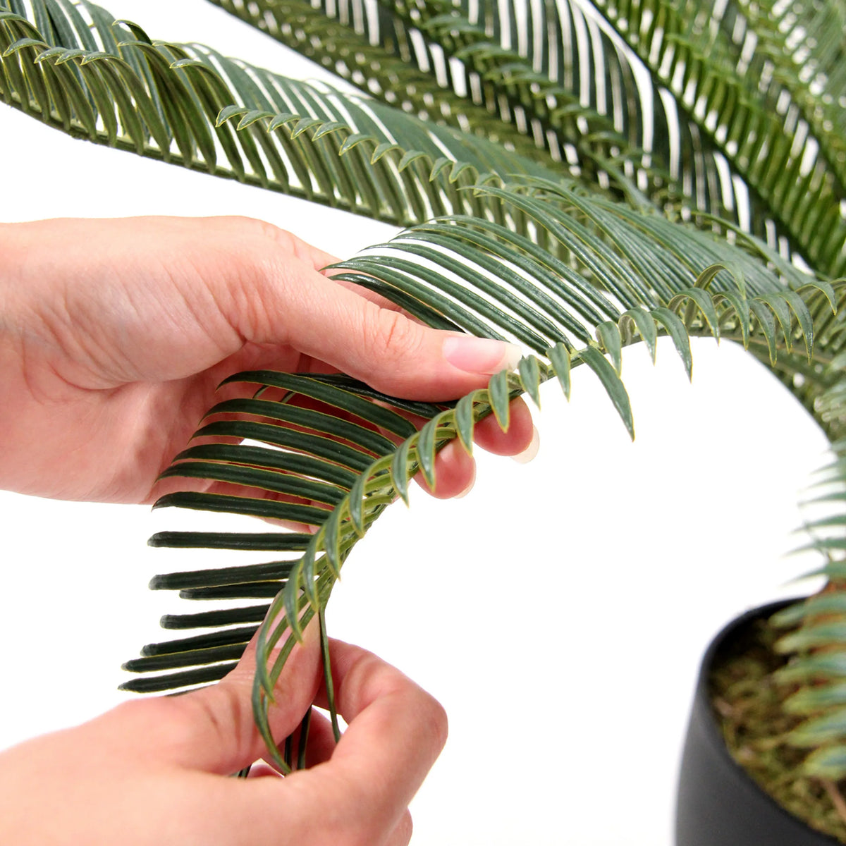 Primer plano de las frondas verdes de la planta artificial CYCAS de hjh OFFICE