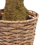 Cesta tejida con el tallo de la planta artificial OLIVE II de hjh OFFICE