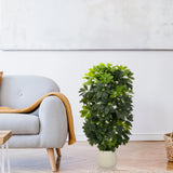 Planta artificial verde Schefflera 2 en una maceta blanca sencilla de hjh OFFICE