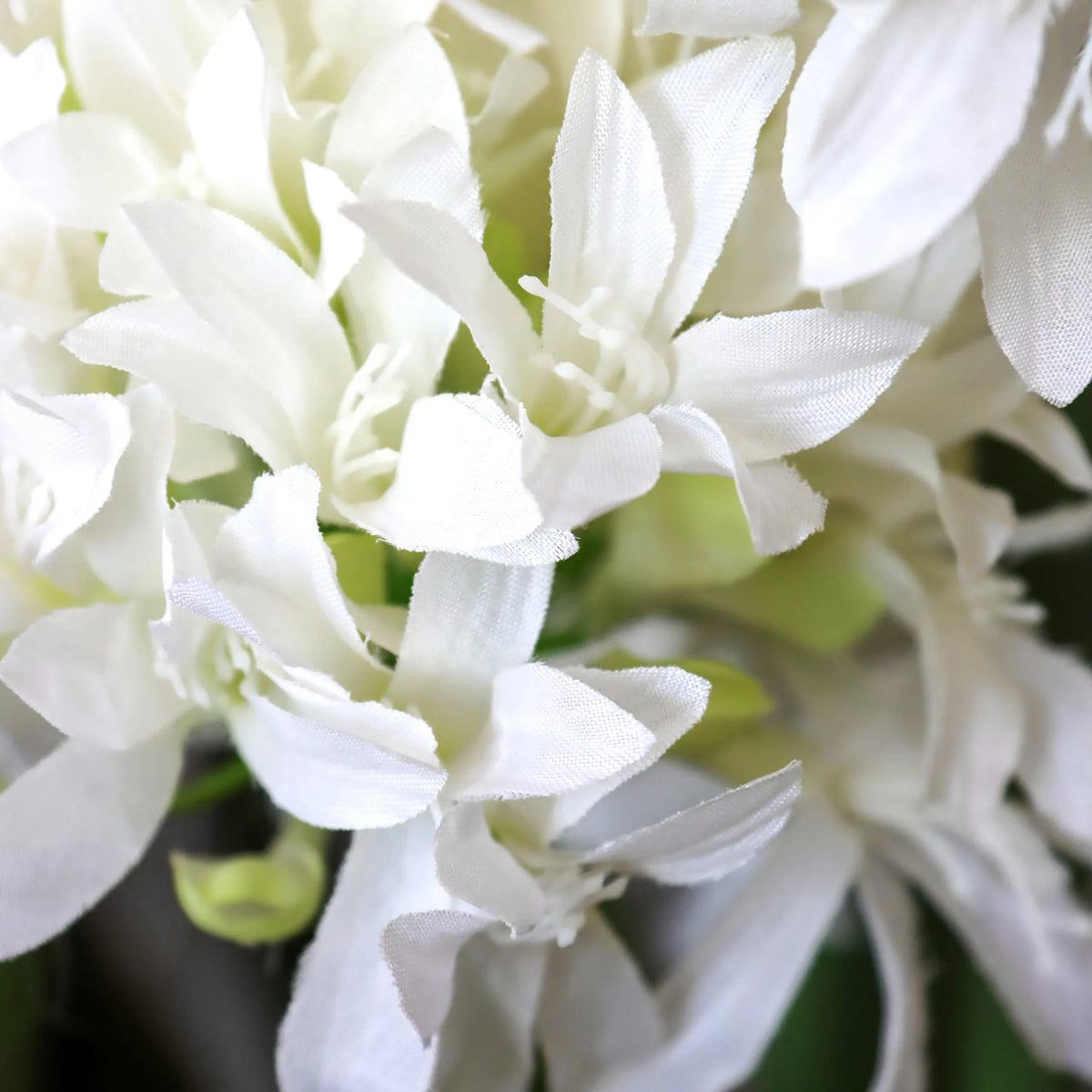 Flores blancas de la planta artificial AGAPANTHUS de hjh OFFICE