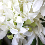 Flores blancas de la planta artificial AGAPANTHUS de hjh OFFICE