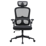 MC102C-M101 | Sihoo - Silla de oficina profesional 