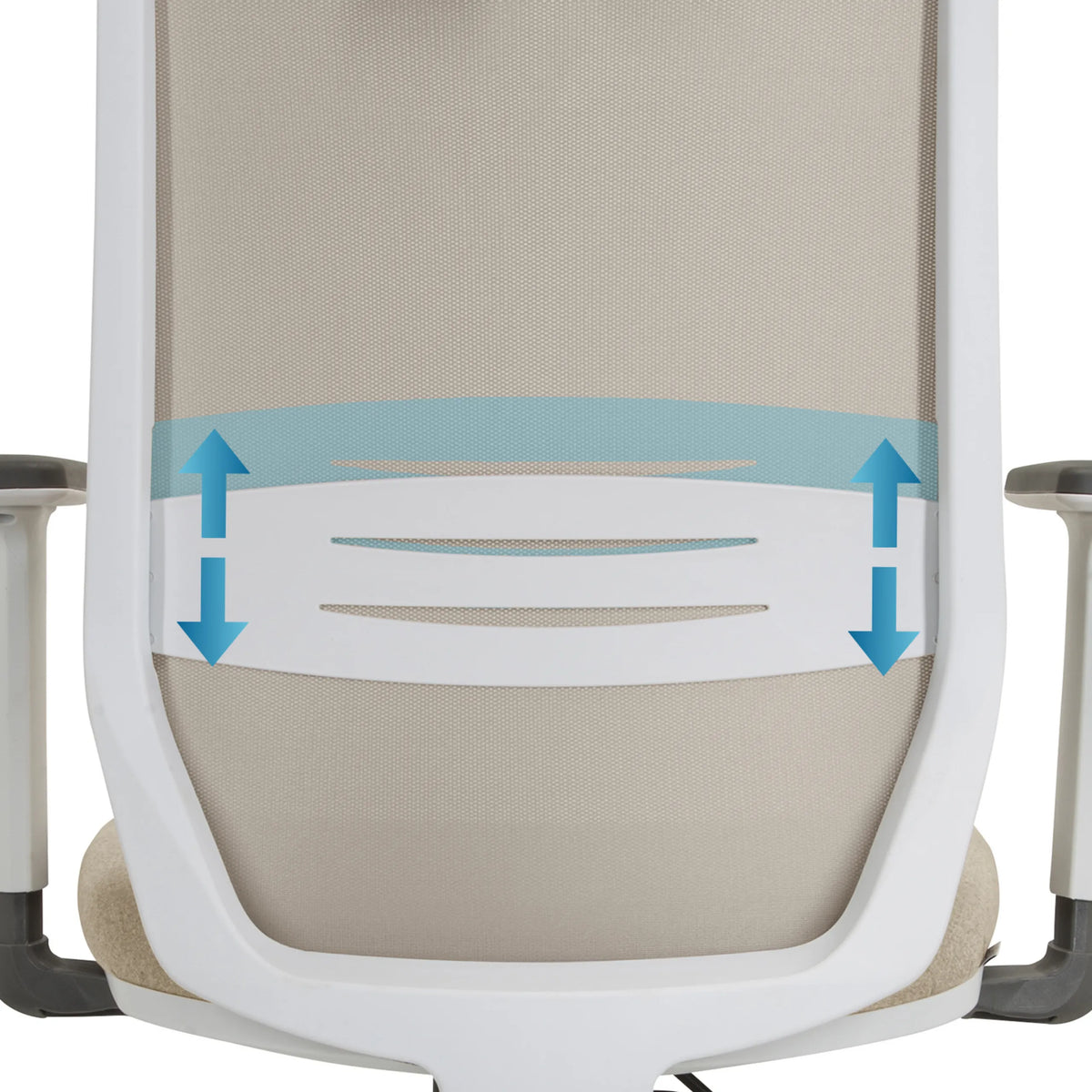 Soporte lumbar ajustable en altura de la Silla de oficina profesional PROFONDO PRO W de hjh OFFICE