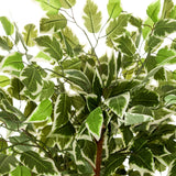Hojas variegadas en verde y blanco de la Planta artificial FICUS de hjh OFFICE