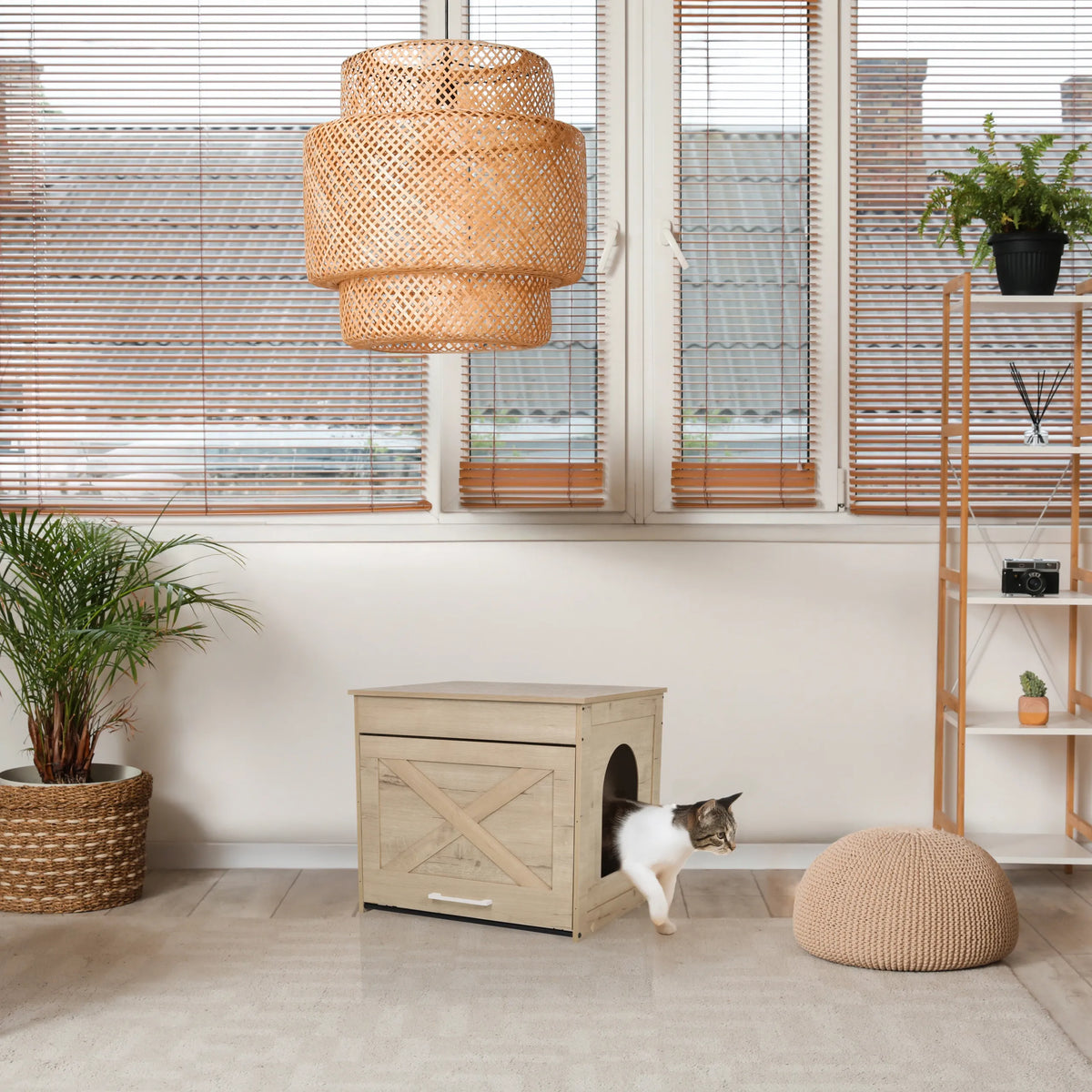 Casa para gatos KITTY PAWBOX 1 en aspecto roble con entrada circular y decoración frontal de hjh LIVING