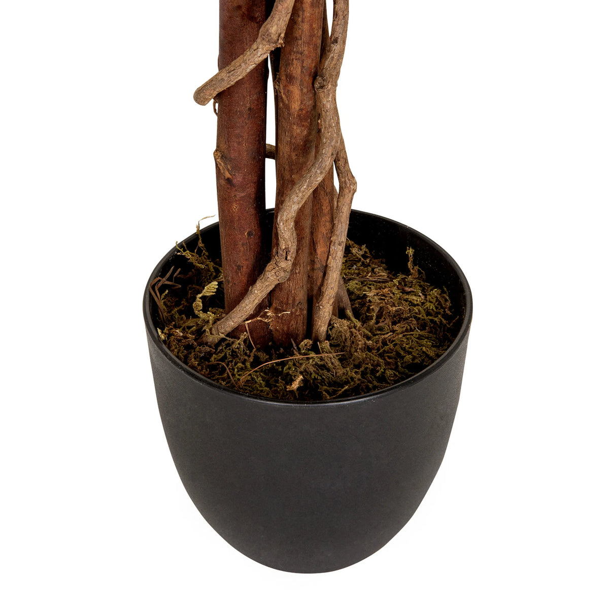 Tronco y maceta negra con capa de musgo de la planta artificial MANGO de hjh OFFICE