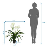 Dibujo dimensional de la Planta artificial AGAPANTHUS con una altura de 100 cm y anchura de 46 cm de hjh OFFICE