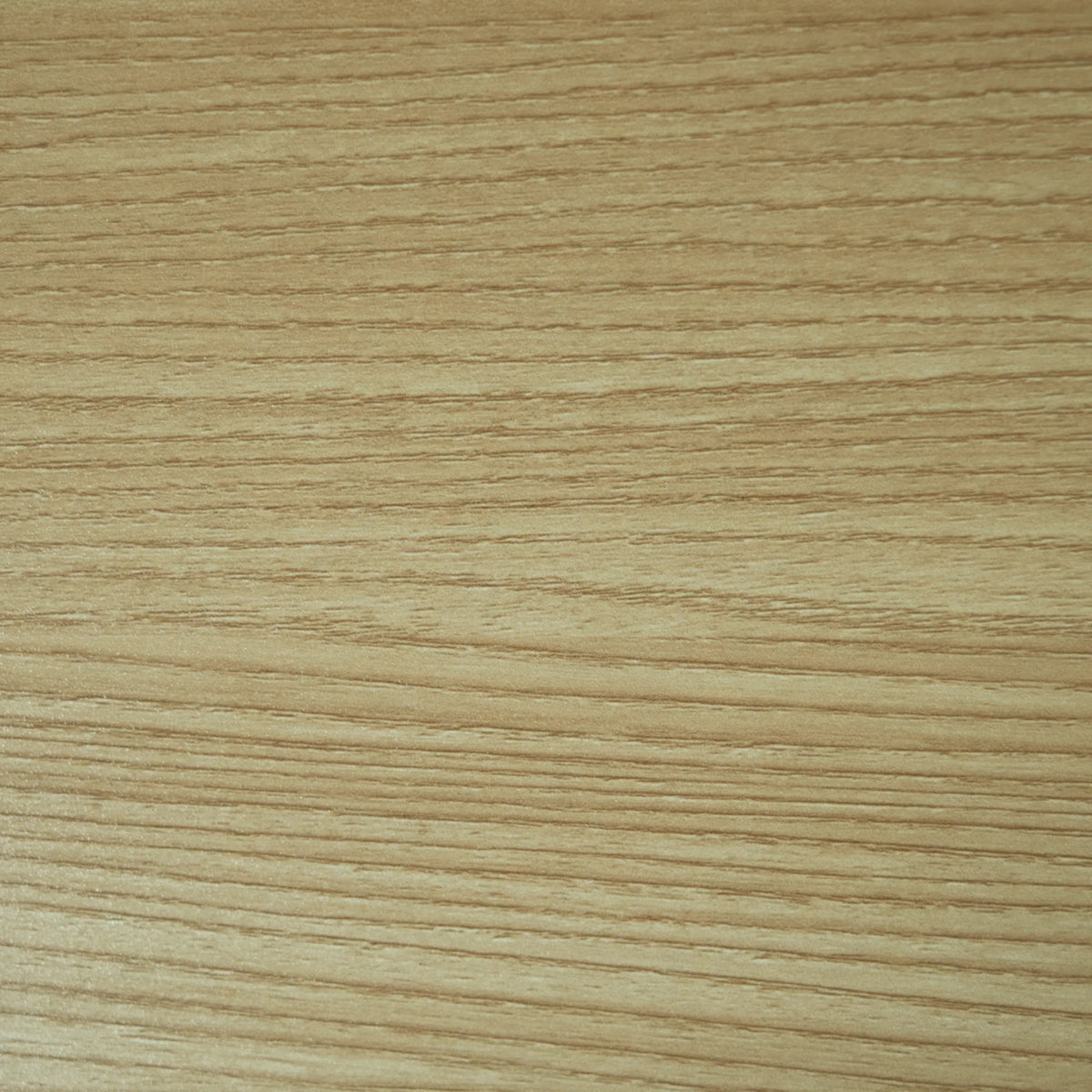 Superficie de madera de roble del escritorio de pie WORKSTATION I de hjh OFFICE