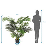 Dibujo dimensional de la Planta artificial ARECA II con una altura de 150 cm y anchura de 64 cm de hjh OFFICE