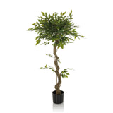 Planta artificial verde FICUS I con tallo trenzado en una maceta negra de hjh OFFICE – vista de 360° (vista lateral 90°)