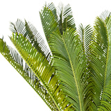Hojas verdes de la Planta artificial CYCAS de hjh OFFICE