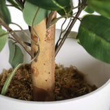 Tallo y hojas de la planta artificial FICUS II en una maceta blanca de hjh OFFICE
