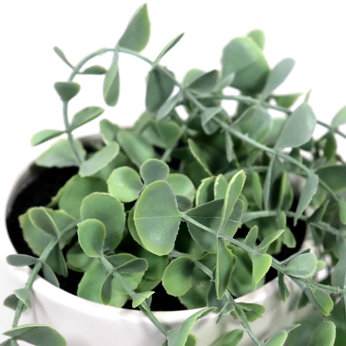 Hojas verdes de la planta artificial EUCALYPTUS CLIMB en una maceta blanca de hjh OFFICE