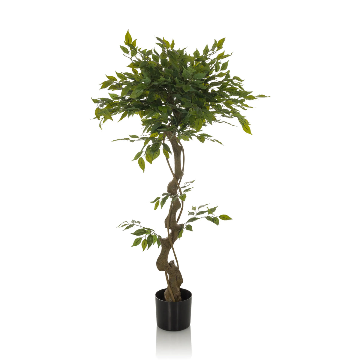 Planta artificial verde FICUS I con tallo trenzado en una maceta negra de hjh OFFICE – vista de 360° (vista frontal 0°)