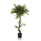 Planta artificial verde FICUS I con tallo trenzado en una maceta negra de hjh OFFICE – vista de 360° (vista frontal 0°)