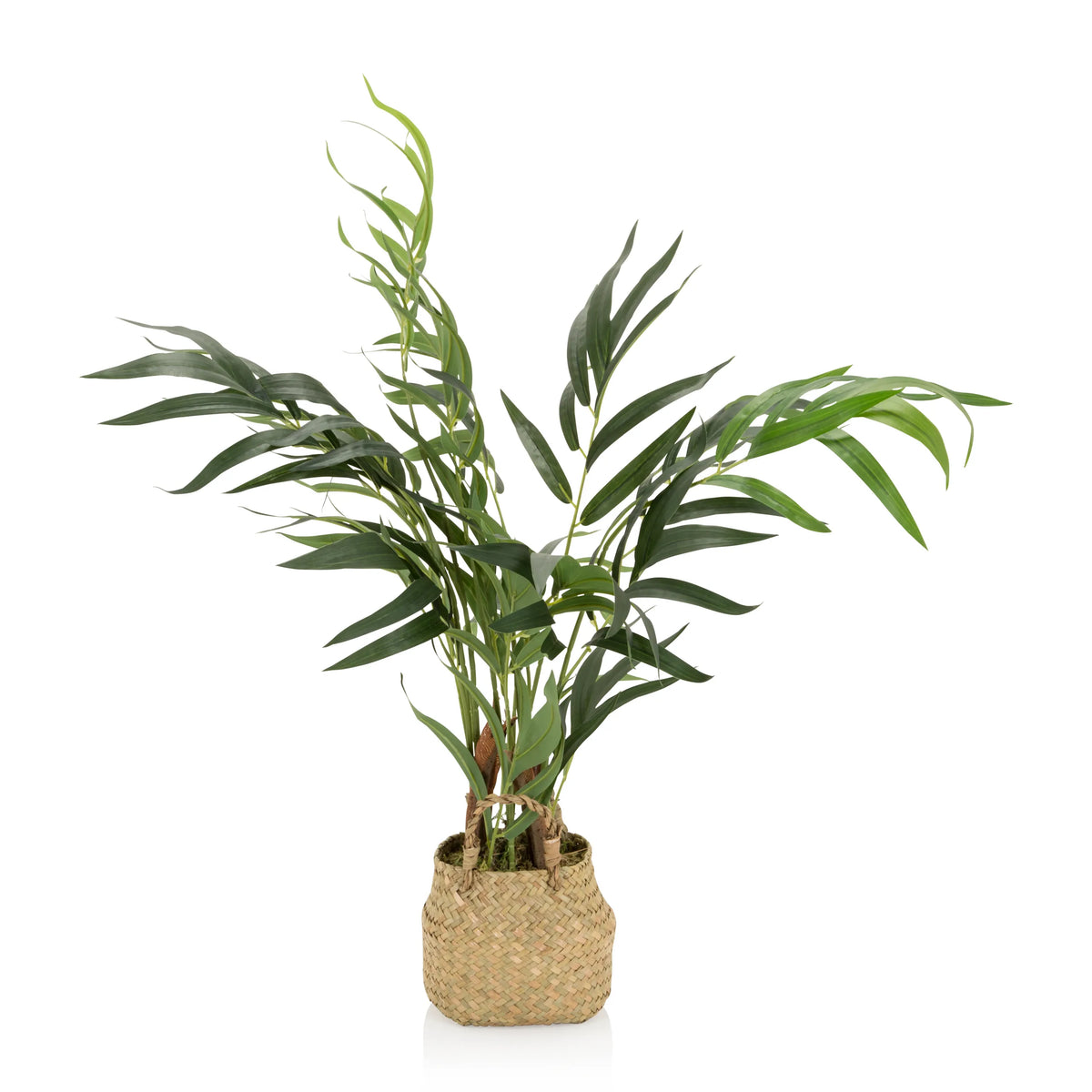 Planta artificial verde CHAMAEDOREA en una maceta tejida de material natural de hjh OFFICE – vista de 360° (vista lateral 90°)