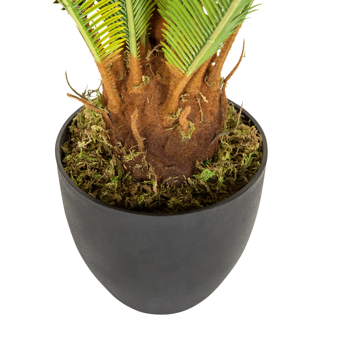 Tronco y maceta exterior negra de la Planta artificial CYCAS de hjh OFFICE