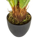 Tronco y maceta exterior negra de la Planta artificial CYCAS de hjh OFFICE