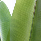 Estructura de hojas verdes de la Planta artificial BANANE de hjh OFFICE