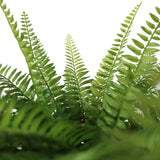 Frondas verdes de helecho de la Planta artificial Proliferum de hjh OFFICE