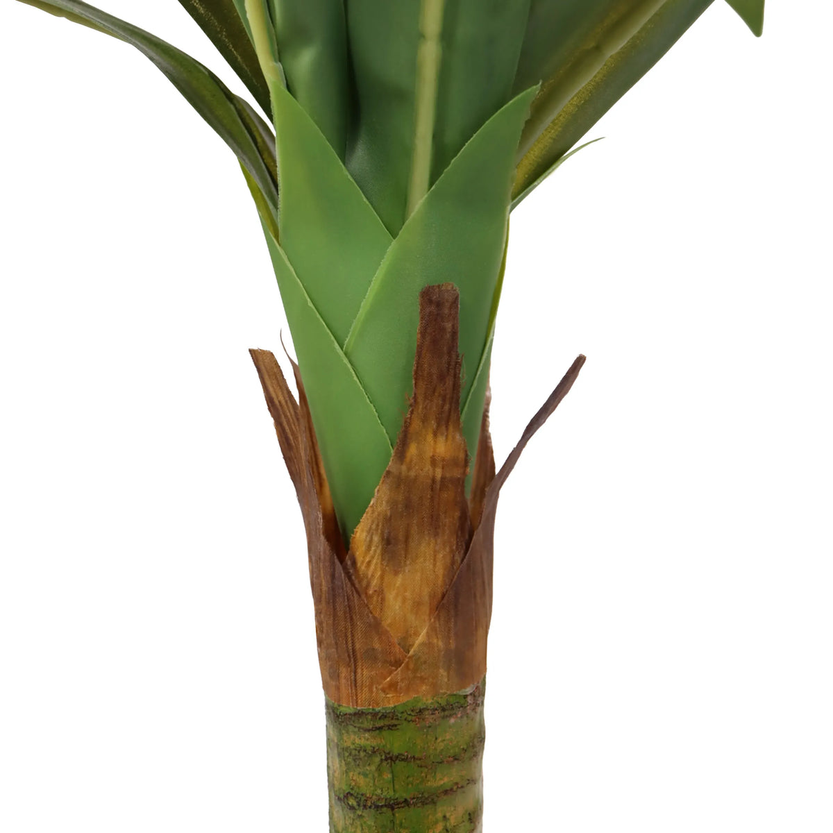 Base del tallo y hojas verdes de la Planta artificial DRACAENA I de hjh OFFICE