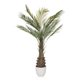 Planta artificial verde DRACAENA en forma de palmera con maceta blanca de hjh OFFICE – vista de 360° (vista lateral 90°)
