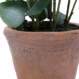 Maceta de terracota de la planta artificial Eucalyptus con hojas verdes de hjh OFFICE
