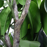 Tallo y hojas verdes de la Planta artificial Garcinia de hjh OFFICE