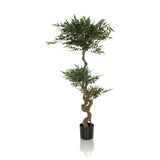 Planta artificial verde ACACIA con tronco retorcido en maceta negra de hjh OFFICE – vista de 360° (vista frontal 0°)