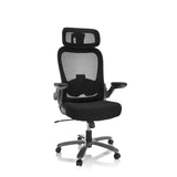 Silla giratoria XXL INSTRUCTOR T I PRO negra con respaldo de malla y base de cinco ruedas de hjh OFFICE – vista de 360° (vista frontal 20°)
