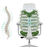 Respaldo de la silla de oficina profesional ERGO LINE W en color Mystic Forest con una representación esquemática de la columna de hjh OFFICE