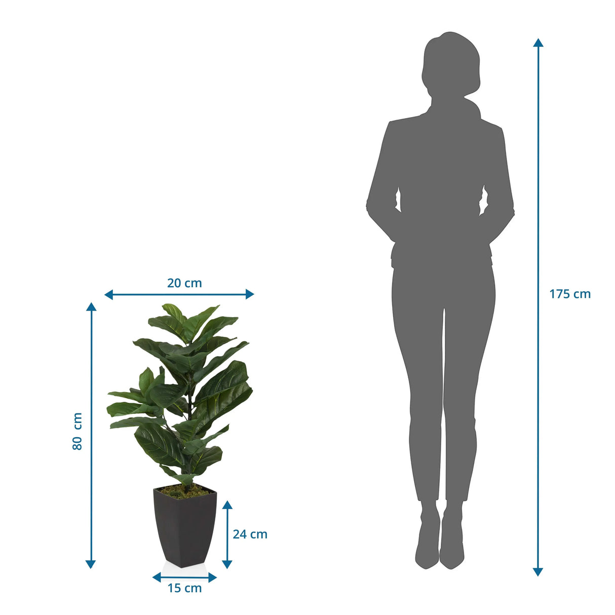 Maßzeichnung der Kunstpflanze LYRATA mit einer Höhe von 80 cm von hjh OFFICE