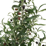 Hojas y aceitunas oscuras de la planta artificial OLIVE de hjh OFFICE
