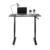 Escritorio de pie negro STAND CR con portátil, lámpara de escritorio y dos plantas pequeñas de hjh OFFICE