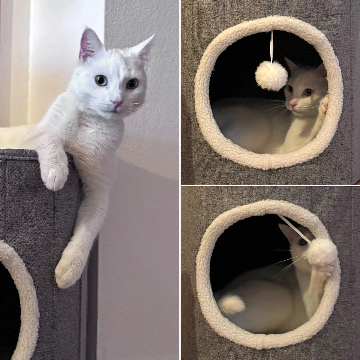 Cueva para gatos PAWY R gris con forro interior blanco y suave y pelota de juguete de hjh LIVING
