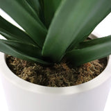 Hojas verdes y cobertura de musgo de la Planta artificial Agave en una maceta blanca de hjh OFFICE