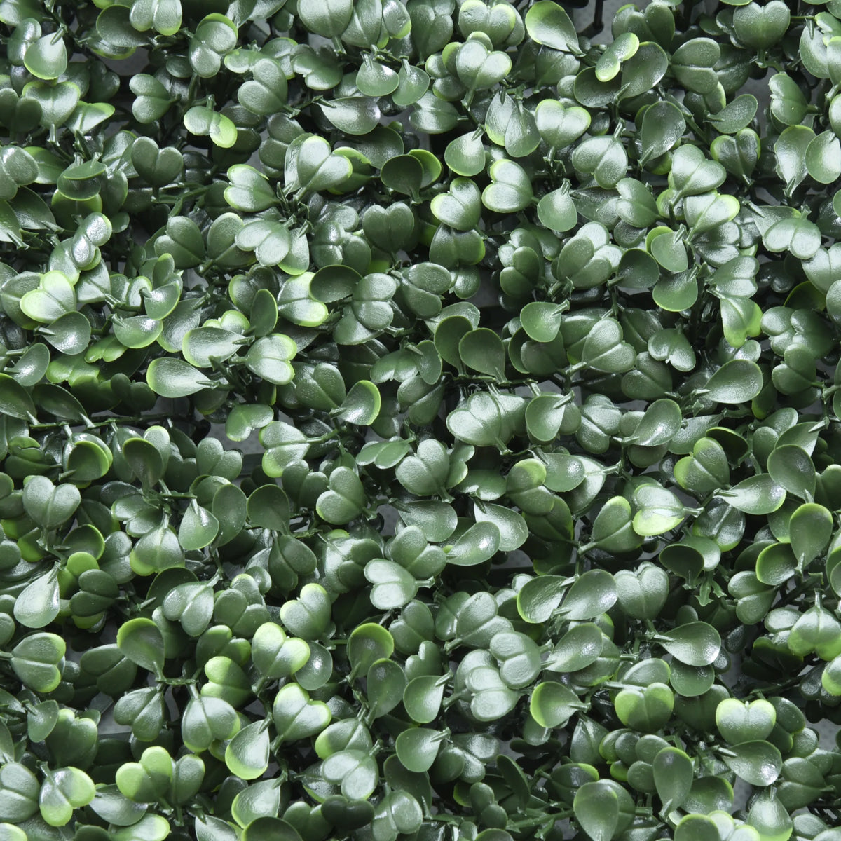 Hojas verdes de la Estera vegetal LEAFLUXE 1 de hjh LIVING