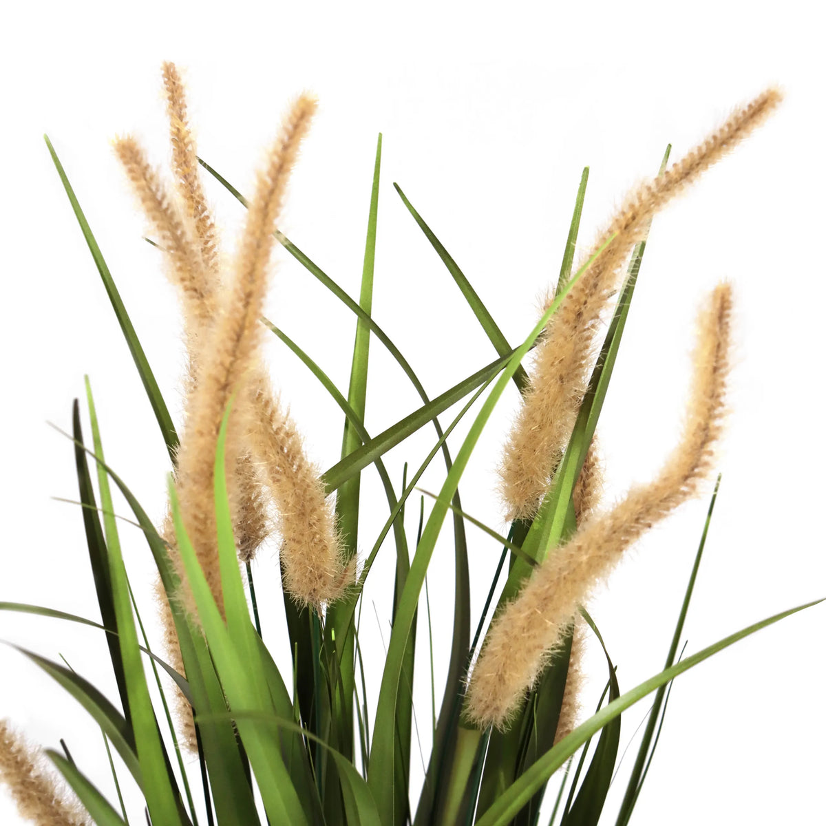 Hierbas beige-verdes de la planta artificial CORTADERIA I con espigas florales esponjosas de hjh OFFICE