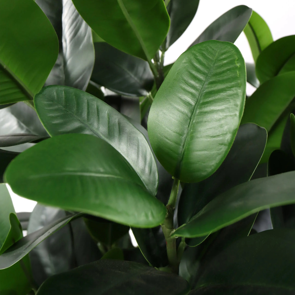 Hojas verdes de la planta artificial Garcinia de hjh OFFICE