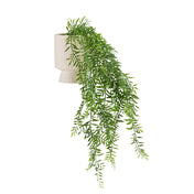 Planta colgante Filix en color verde con una maceta exterior acanalada en color blanco crema de hjh OFFICE
