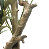 Tallo marrón estructurado de la Planta artificial OLIVE I de hjh OFFICE
