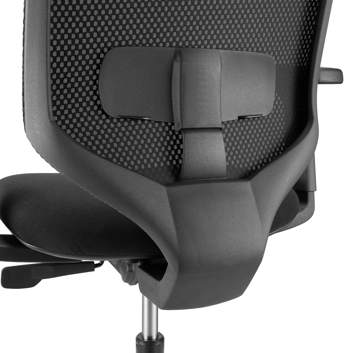 Soporte lumbar del respaldo de la Silla de oficina profesional Delvia en negro de hjh OFFICE