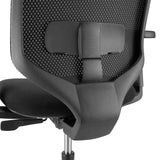 Soporte lumbar del respaldo de la Silla de oficina profesional Delvia en negro de hjh OFFICE