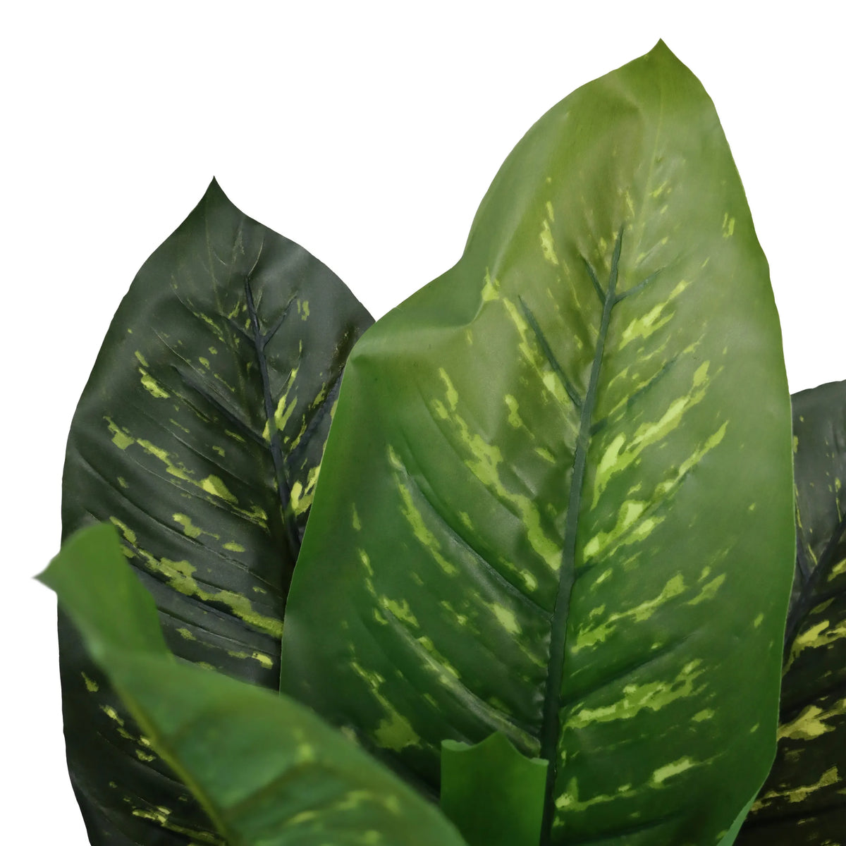 Hojas verdes de la planta artificial DIEFFENBACHIA con vetas más claras de hjh OFFICE