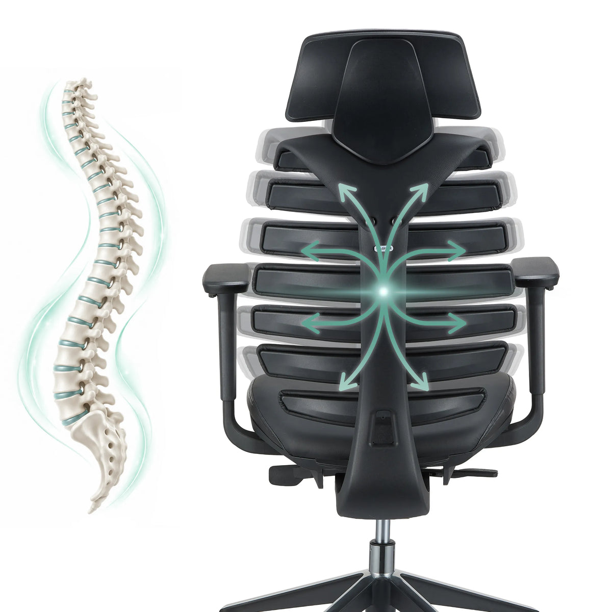 Respaldo de la silla de oficina profesional ERGO LINE II PRO con representación esquemática de la columna vertebral de hjh OFFICE